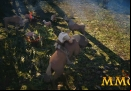 black-desert-mobile-mounts