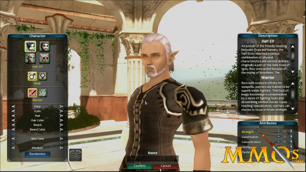 champions-of-regnum-character-half-elf