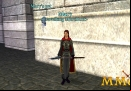 Dark-Age-of-Camelot-travelling-merchant