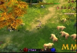 eternal-chaos-bears