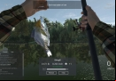 Fishing-Planet-fish-size