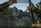 Fishing-Planet-friends