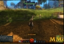 Guild-Wars-2-Fence.jpg