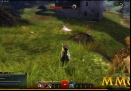 Guild-Wars-2-Green.jpg