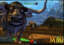 Guild-Wars-2-Moo-Cow.jpg