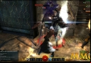 Guild-Wars-2-Newbie.jpg