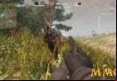line-of-sight-grassy