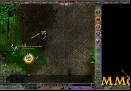 link-realms-ice-attack