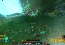 Maestia-Swimming-crabs.jpg