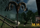 Mortal-Online-skull