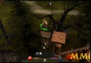 Mu-Online-Tree-back.jpg