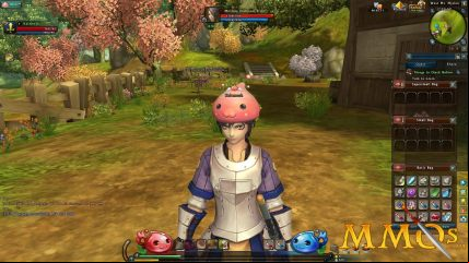 Ragnarok-Online-2-Poring-hat.jpg
