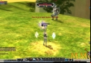 RF-Online-Target