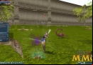 rohan-blood-feud-item-drop