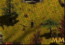 Salem-free-to-play