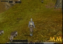 Shaiya-Aeria-Games