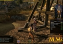 shroud-the-avatar-elf