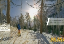 steep-forest