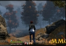 The-Secret-World-trees