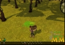 Tree-of-Life-campfire