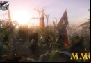 war-of-rights-corn
