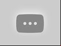 Warhold Trailer
