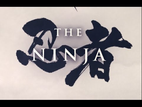 Mabinogi: Ninja