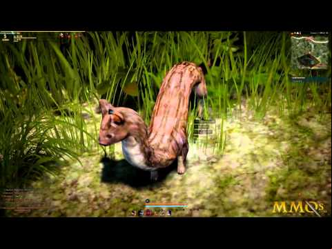 Black Desert Online Gameplay First Look HD - mmos.casinowinning.net